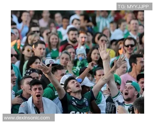 巴西足球明星乘坐飞机失事震惊世界的悲剧引发广泛关注与哀悼