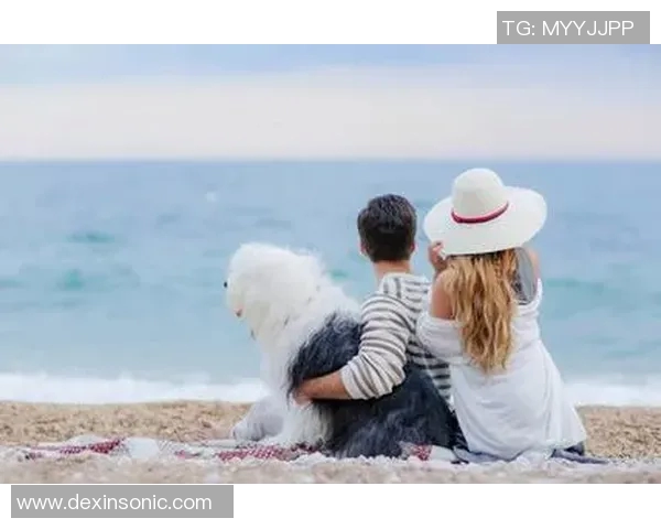 情侣高清头像与足球明星的完美结合展现爱情与激情的双重魅力