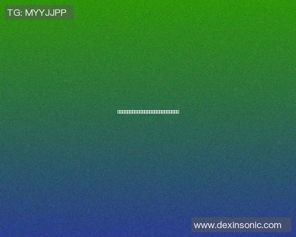 深入探讨上海足球队在赛季中的技术表现与数据分析结果